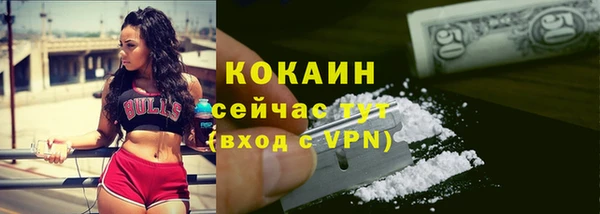 гашик Касимов