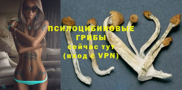 гашик Касимов