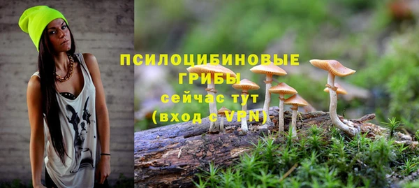 гашик Касимов