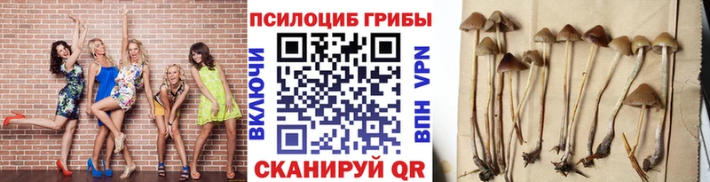 Галлюциногенные грибы MAGIC MUSHROOMS  Барнаул 