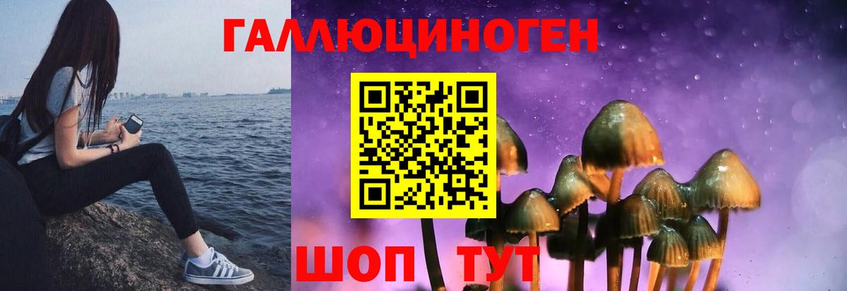 Барнаул  Псилоцибиновые грибы Psilocybe  Вход с VPN  Галлюциногенные грибы Magic Shrooms 